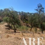 Plot for sale in São Bartolomeu da Serra, Santiago do Cacem, Setubal &bull; ARE31165 - gallery image