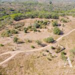 Plot for sale in Santiago do Cacem, Setubal • ARE30318 - gallery image
