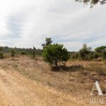 Plot for sale in Santiago do Cacem, Setubal • ARE30318 - gallery image