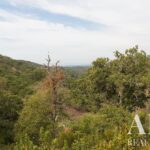 Plot for sale in Santiago do Cacem, Setubal • ARE30318 - gallery image