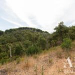 Plot for sale in Santiago do Cacem, Setubal • ARE30318 - gallery image