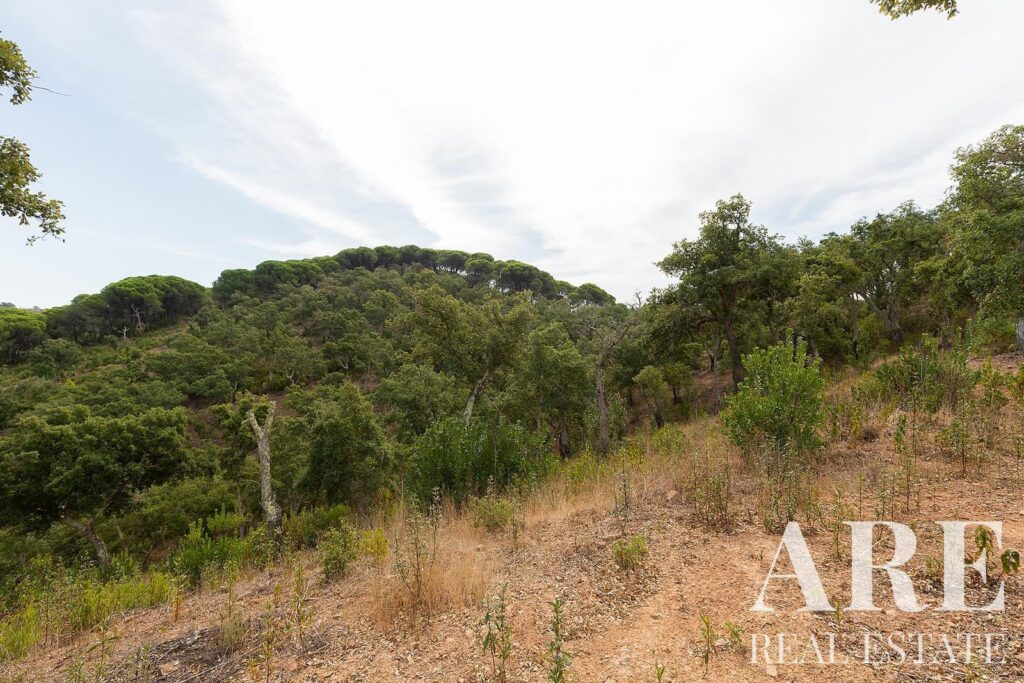 Plot for sale in Santiago do Cacem, Setubal
