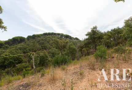 Plot for sale in Santiago do Cacem, Setubal