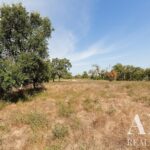 Plot for sale in Santiago do Cacem, Setubal - gallery image