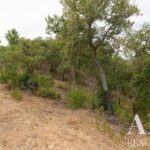 Plot for sale in Santiago do Cacem, Setubal - gallery image