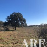 Plot for sale in Cercal do Alentejo, Santiago do Cacem, Setubal - gallery image