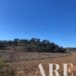 Plot for sale in Cercal do Alentejo, Santiago do Cacem, Setubal - gallery image