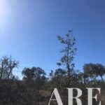 Plot for sale in Cercal do Alentejo, Santiago do Cacem, Setubal - gallery image