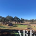Plot for sale in Cercal do Alentejo, Santiago do Cacem, Setubal - gallery image