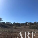 Plot for sale in Cercal do Alentejo, Santiago do Cacem, Setubal - gallery image