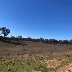 Plot for sale in Cercal do Alentejo, Santiago do Cacem, Setubal - gallery image