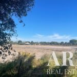 Farmhouse 3-bedroom for sale in Grandola, Setubal - gallery image