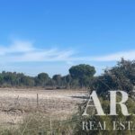 Farmhouse 3-bedroom for sale in Grandola, Setubal - gallery image