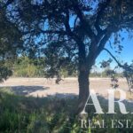 Farmhouse 3-bedroom for sale in Grandola, Setubal - gallery image