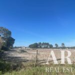 Farmhouse 3-bedroom for sale in Grandola, Setubal - gallery image