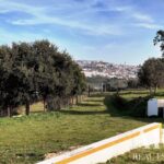 Farmhouse 5-bedroom for sale in Penha, Portalegre &bull; ARE27346 - gallery image