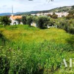 Farmhouse 5-bedroom for sale in Penha, Portalegre &bull; ARE27346 - gallery image