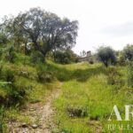 Farmhouse 5-bedroom for sale in Penha, Portalegre &bull; ARE27346 - gallery image