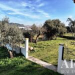 Farmhouse 5-bedroom for sale in Penha, Portalegre &bull; ARE27346 - gallery image