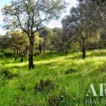 Farmhouse 5-bedroom for sale in Penha, Portalegre &bull; ARE27346 - gallery image