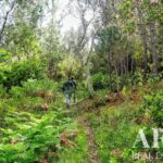 Farmhouse 5-bedroom for sale in Penha, Portalegre &bull; ARE27346 - gallery image