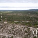 Plot for sale in Melides, Grandola, Setubal - gallery image