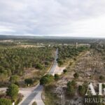 Plot for sale in Melides, Grandola, Setubal - gallery image