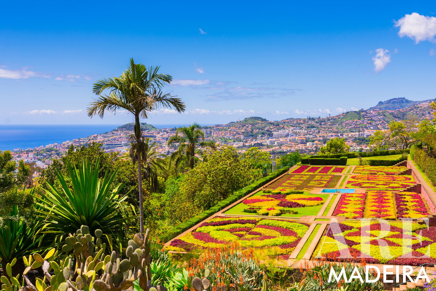 The Madeira Botanical Garden, accessible by cable car from Monte, bus, or taxi, features a diverse collection of exotic plants, beautifully landscaped terraces, and stunning views of Funchal and the surrounding landscape. Requires a paid entrance.
