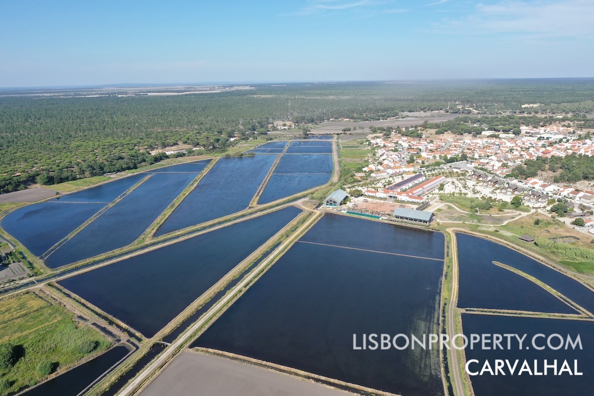 Carvalhal photo shows a traditional village with distinct areas. On the left, extensive rice fields display the region