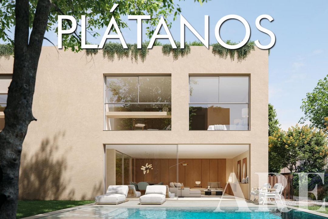 Plátanos