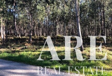 Plot for sale in Pombal, Leiria