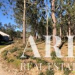 Plot for sale in Pombal, Leiria - gallery image
