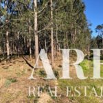 Plot for sale in Pombal, Leiria - gallery image
