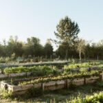 Apartment 1-bedroom for sale in Craveiral Farmhouse, São Teotónio, Odemira, Beja - gallery image