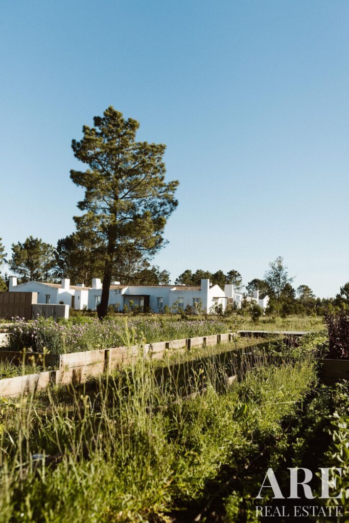 Apartment 1-bedroom for sale in Craveiral Farmhouse, São Teotónio, Odemira, Beja