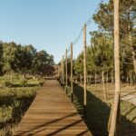 Apartment 1-bedroom for sale in Craveiral Farmhouse, São Teotónio, Odemira, Beja - gallery image