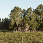 Apartment 1-bedroom for sale in Craveiral Farmhouse, São Teotónio, Odemira, Beja - gallery image