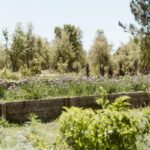 Apartment 1-bedroom for sale in Craveiral Farmhouse, São Teotónio, Odemira, Beja - gallery image