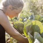 Apartment 1-bedroom for sale in Craveiral Farmhouse, São Teotónio, Odemira, Beja - gallery image