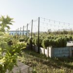 Apartment 1-bedroom for sale in Craveiral Farmhouse, São Teotónio, Odemira, Beja - gallery image