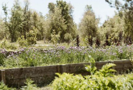 Apartment 1-bedroom for sale in Craveiral Farmhouse, São Teotónio, Odemira, Beja