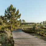 Apartment 1-bedroom for sale in Craveiral Farmhouse, São Teotónio, Odemira, Beja &bull; ARE32238 - gallery image