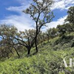 Farmhouse Studio for sale in Colos, Odemira, Beja &bull; ARE30530 - gallery image