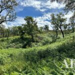 Farmhouse Studio for sale in Colos, Odemira, Beja &bull; ARE30530 - gallery image