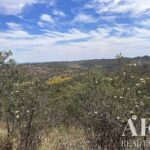 Farmhouse Studio for sale in Colos, Odemira, Beja &bull; ARE30530 - gallery image