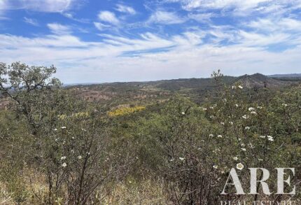 Farmhouse Studio for sale in Colos, Odemira, Beja