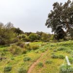 Villa 3-bedroom for sale in Mosteiros, Arronches, Portalegre - gallery image