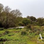 Villa 3-bedroom for sale in Mosteiros, Arronches, Portalegre - gallery image