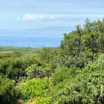 Plot for sale in Sesimbra, Setubal - gallery image