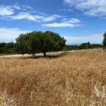 Plot for sale in Sesimbra, Setubal - gallery image
